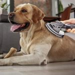 SZCZOTKA SSAWKA DO SIERŚCI CZESANIA PSA KOTA GRZEBIEŃ V7 V8 V10 V11 V15 GEN - obrazek 2