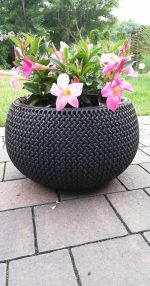 DONICZKA DONICA Splofy Bowl 24cm BIAŁA ZE WZOREM UNIKATOWA LOFT - obrazek 6