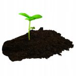 Ziemia uniwersalna 5,5-6,5 pH 10 l - obrazek 10