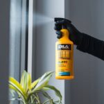Ręka w rękawicy spryskująca okno środkiem czyszczącym w żółtej butelce, roślina na pierwszym planie.
