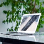 Laptop na biurku z refleksjami na ekranie, w tle zielone liście rośliny.